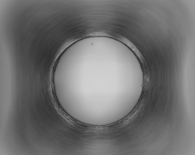 X0000111801002200907230951