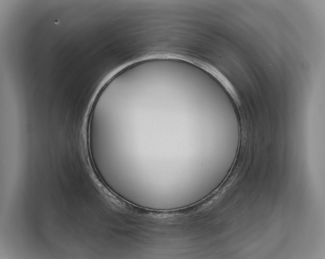 X0000111801004200907230951