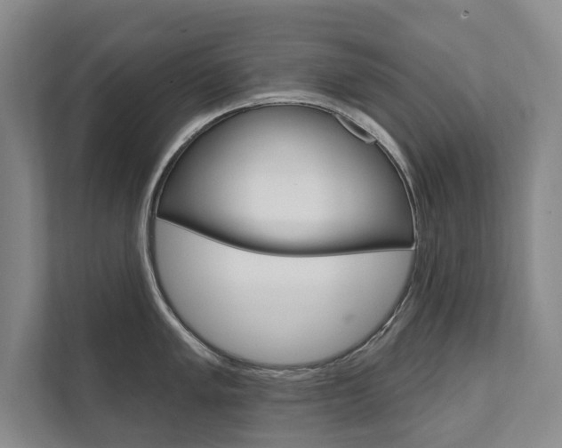 X0000111801005200907230951