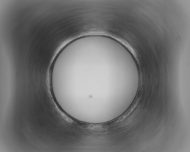 X0000111801006200907230951