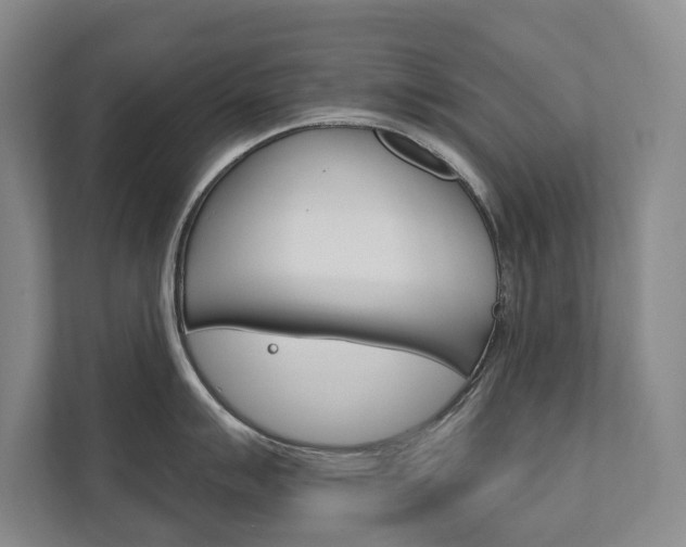 X0000111801007200907230951