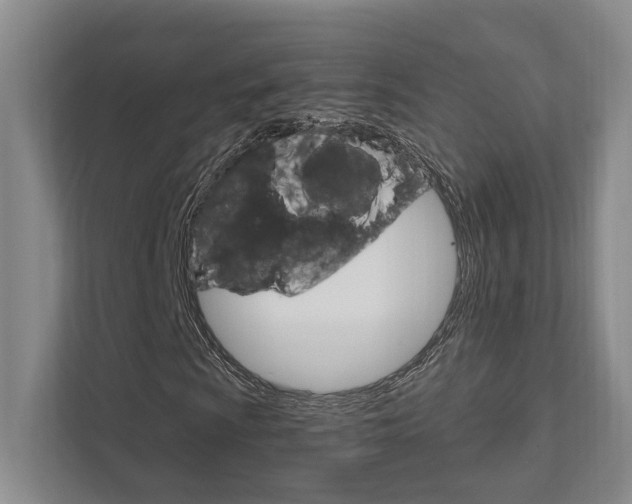 X0000111801009200907230950