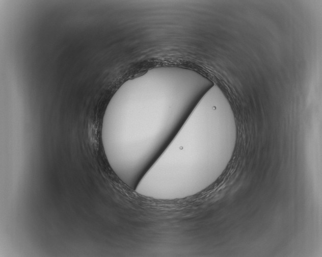 X0000111801010200907230950