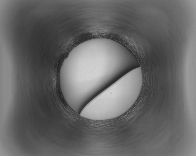 X0000111801012200907230950