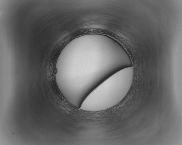 X0000111801014200907230950