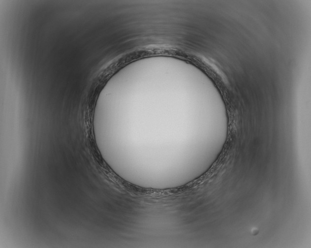 X0000111801015200907230950