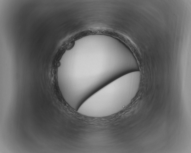 X0000111801016200907230950