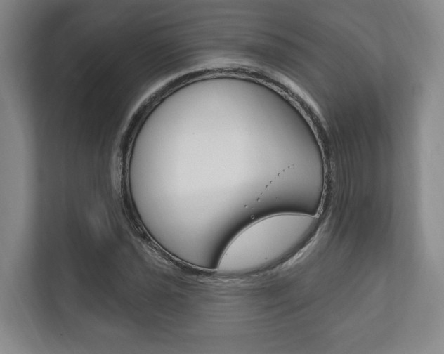 X0000111801021200907230951
