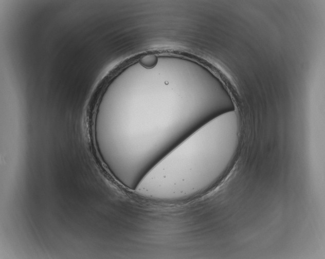 X0000111801022200907230951