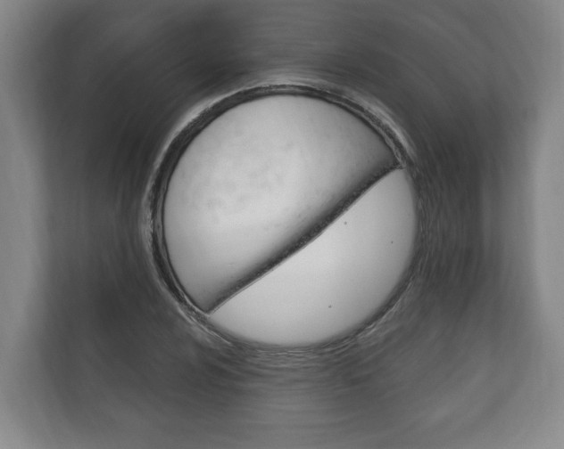 X0000111801024200907230951