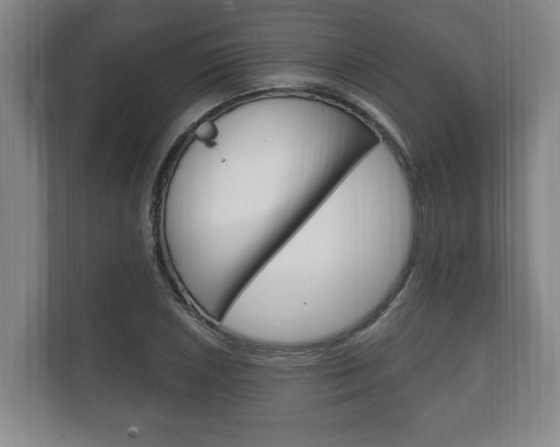 X0000111801026200907230951