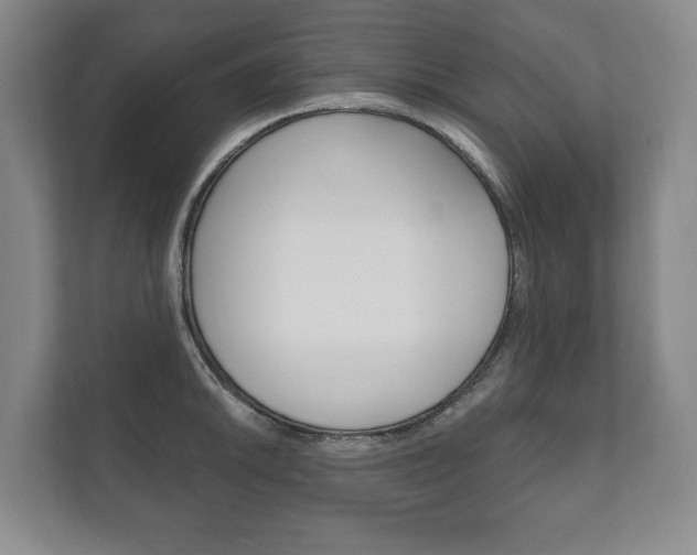 X0000111801046200907230951