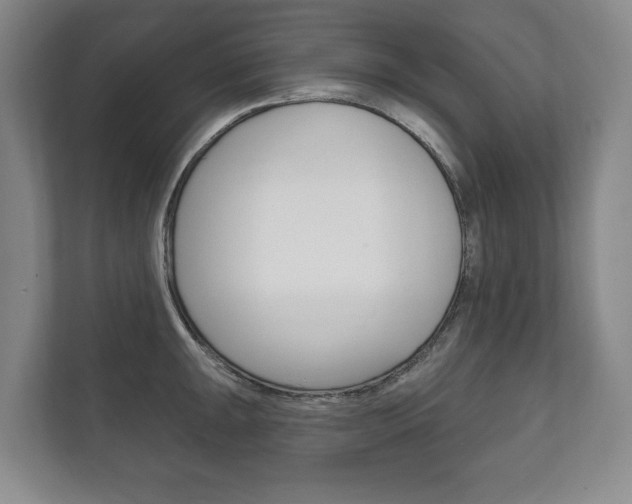 X0000111801047200907230951