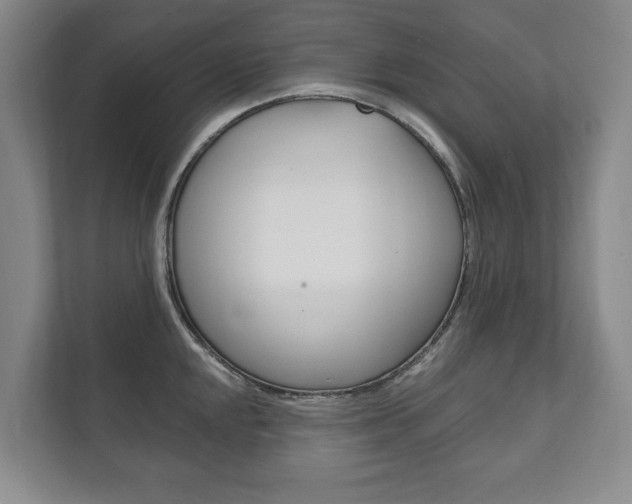 X0000111801048200907230951