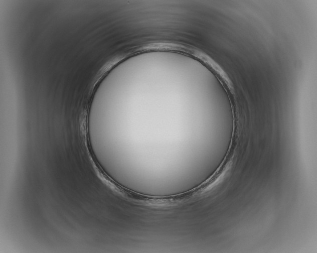 X0000111801049200907230951