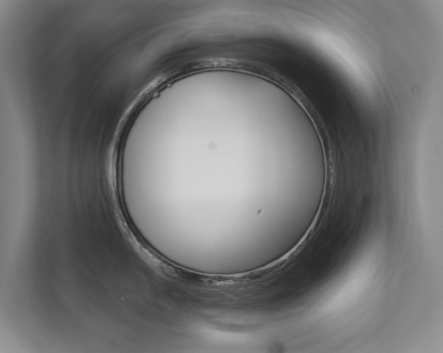 X0000111801054200907230951