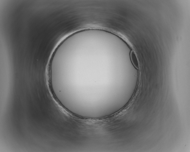X0000111801056200907230951