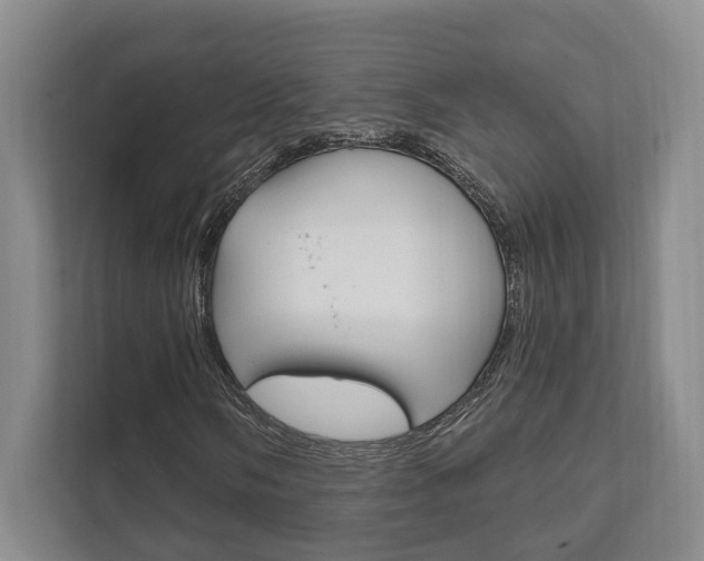 X0000111801058200907230950