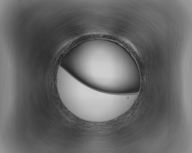 X0000111801064200907230950