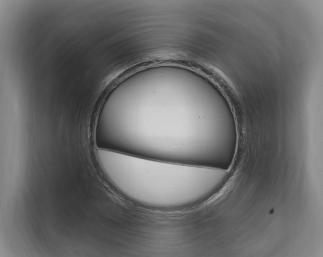 X0000111801065200907230950