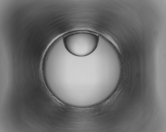 X0000111801068200907230950