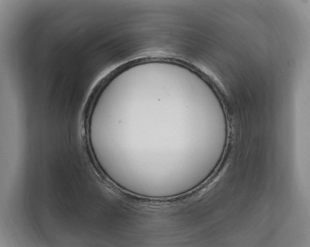 X0000111801070200907230950