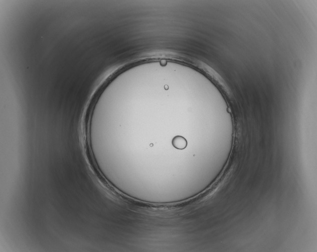 X0000111801082200907230950