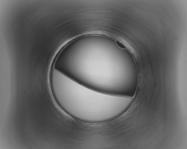 X0000111801084200907230950