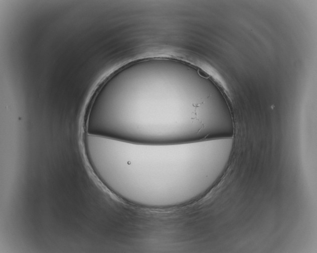 X0000111801088200907230950