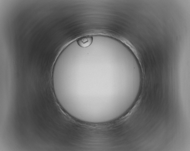 X0000111801089200907230950