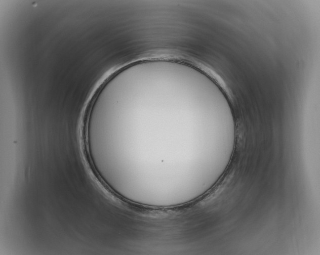 X0000111801091200907230950