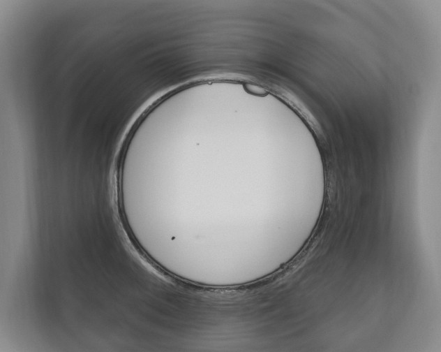 X0000111801092200907230950