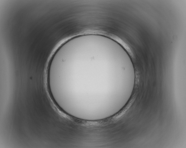 X0000111801094200907230950