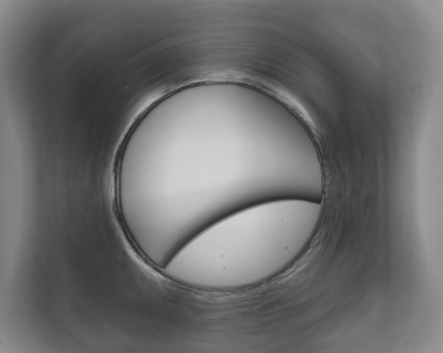 X0000111801095200907230950