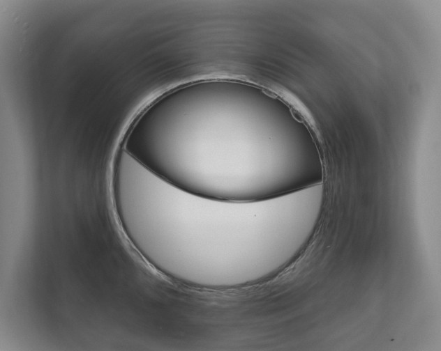 X0000111801096200907230950