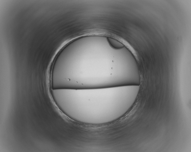 X0000111801099200907230950