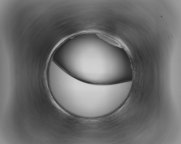 X0000111801100200907230950