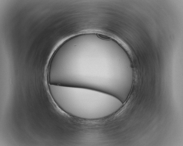 X0000111801102200907230950