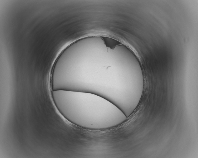 X0000111801103200907230950