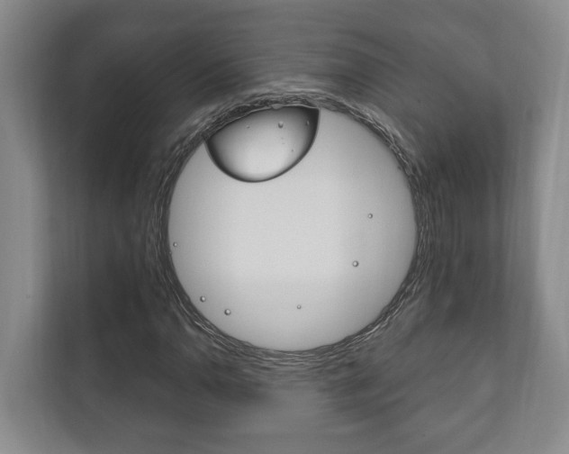 X0000111801110200907230949