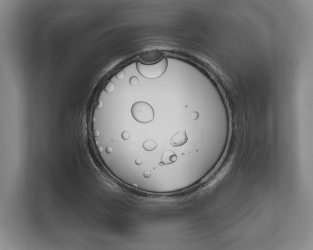 X0000111801113200907230949