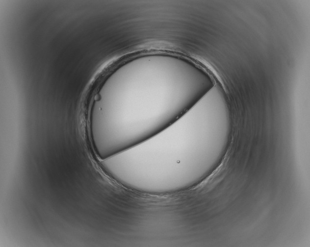 X0000111801115200907230949