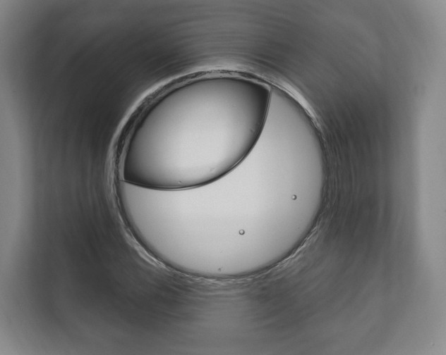 X0000111801116200907230949