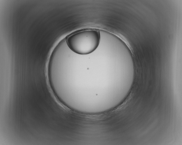 X0000111801128200907230949