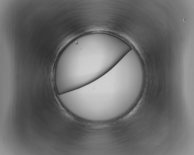 X0000111801129200907230949