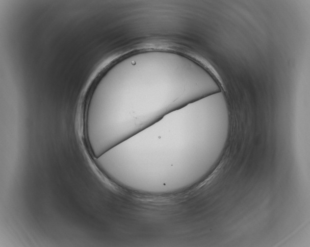 X0000111801131200907230949