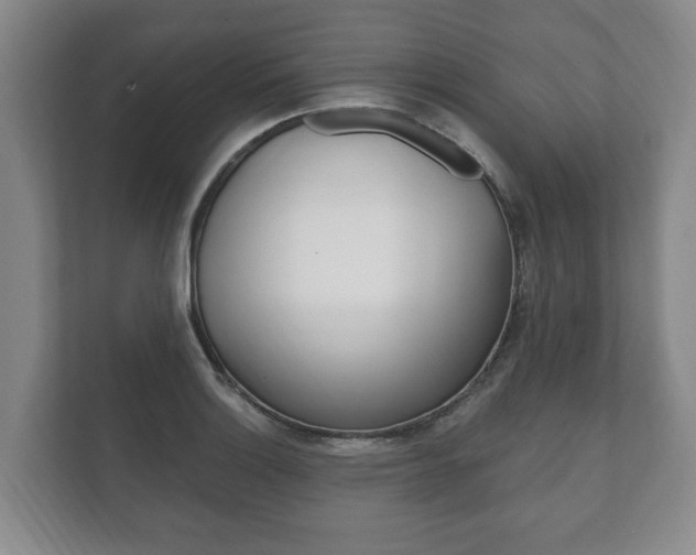 X0000111801132200907230949