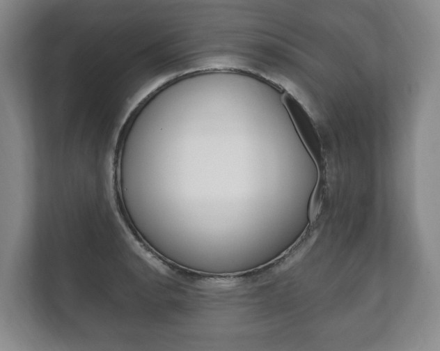 X0000111801134200907230950