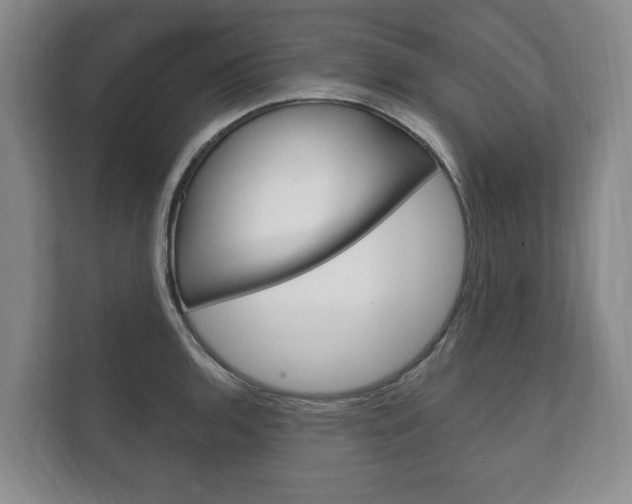 X0000111801136200907230950