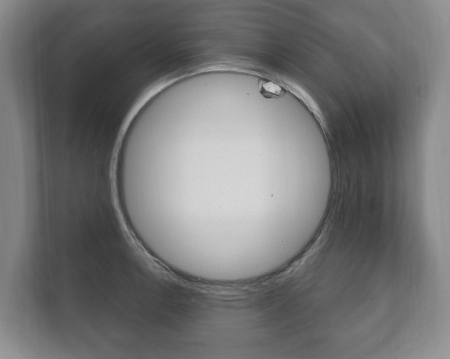 X0000111801138200907230950